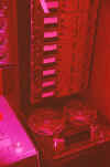 Ampex 8 track Recorder(IBC Studio 'A' Control Room)
